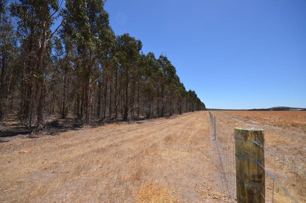 Lot 2 Jones Road, WATERLOO VIC 3373, Waterloo - Thumbnail 3