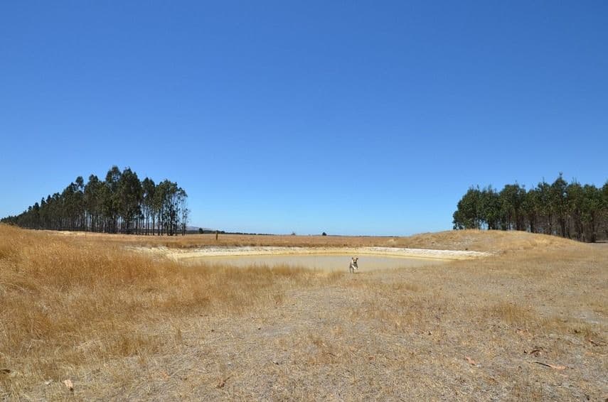 Lot 2 Jones Road, WATERLOO VIC 3373, Waterloo - Thumbnail 4