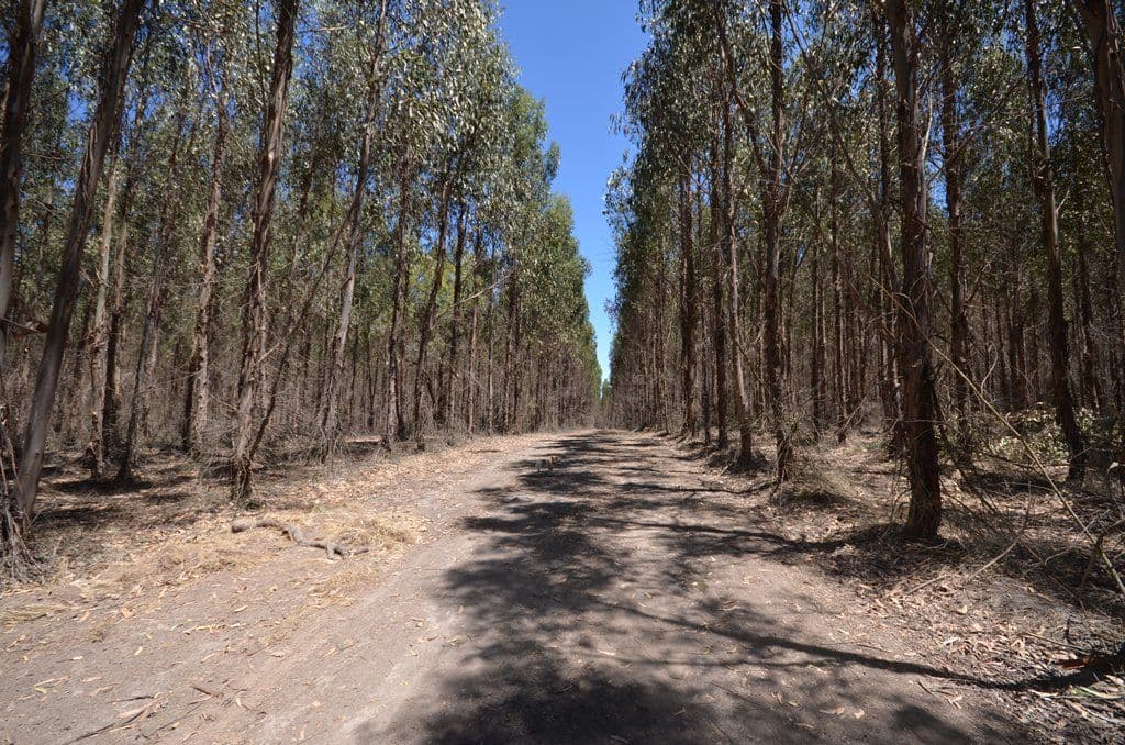 Lot 2 Jones Road, WATERLOO VIC 3373, Waterloo - Thumbnail 6
