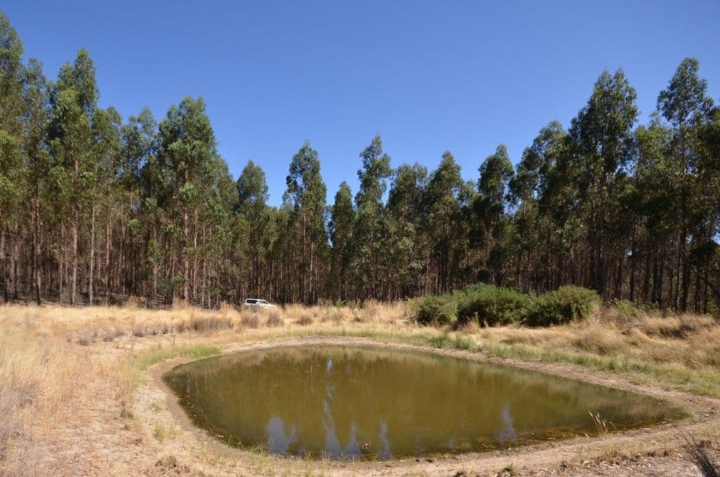 Dreamers Hill Road, LINTON VIC 3360, Linton - Image 1