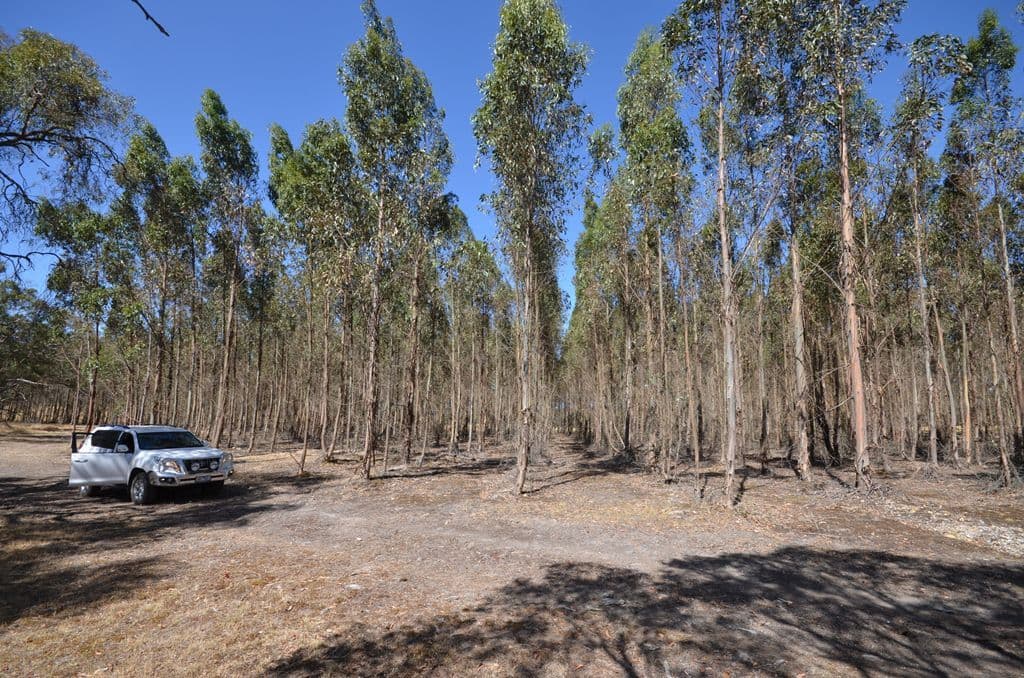 Dreamers Hill Road, LINTON VIC 3360, Linton - Thumbnail 2