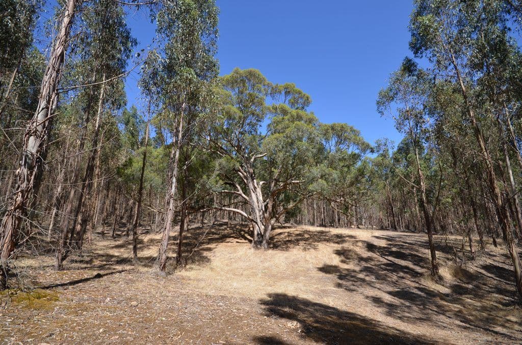 Dreamers Hill Road, LINTON VIC 3360, Linton - Thumbnail 3