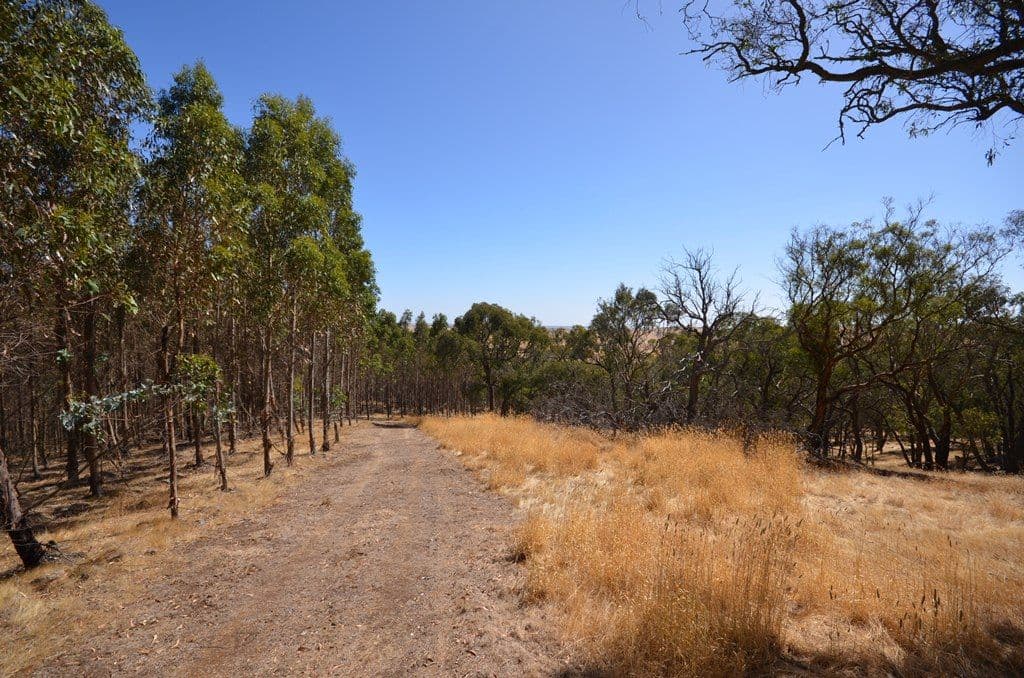 Dreamers Hill Road, LINTON VIC 3360, Linton - Thumbnail 4