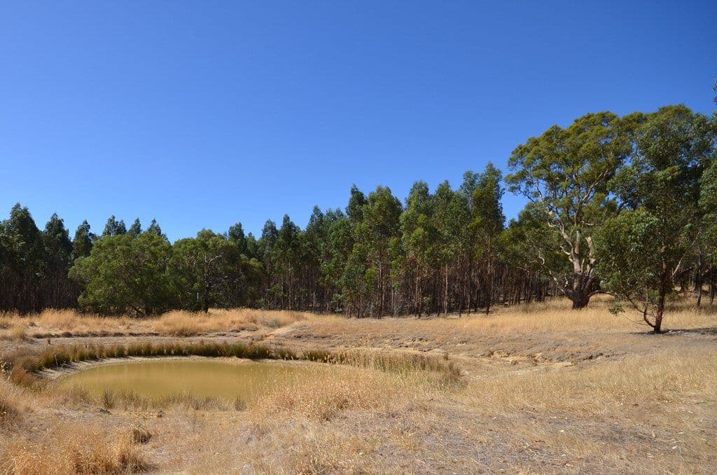 Dreamers Hill Road, LINTON VIC 3360, Linton - Thumbnail 5