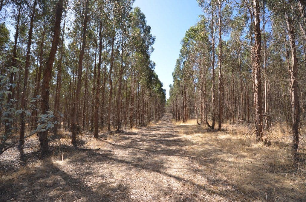 Dreamers Hill Road, LINTON VIC 3360, Linton - Thumbnail 6