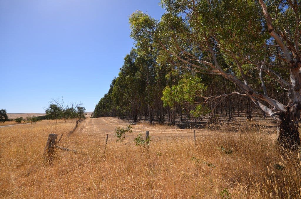 Dreamers Hill Road, LINTON VIC 3360, Linton - Thumbnail 7