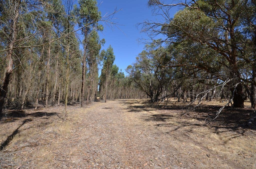 Dreamers Hill Road, LINTON VIC 3360, Linton - Thumbnail 8