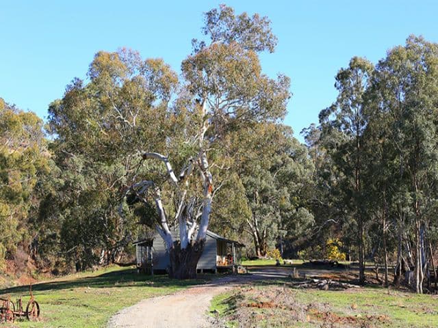 BATHURST NSW 2795, Bathurst - Image 1