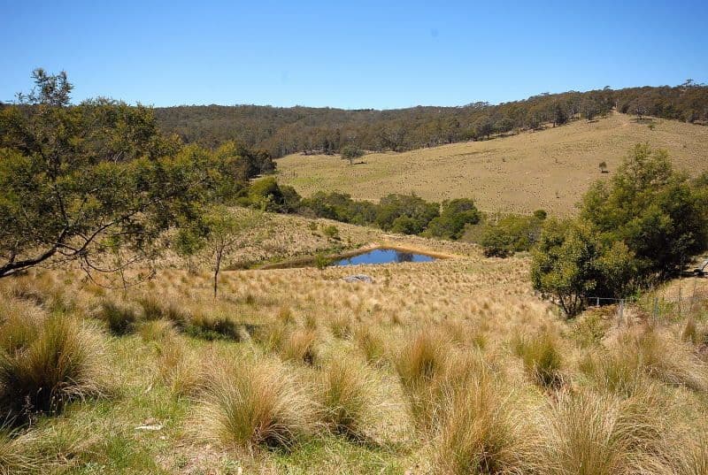 6904 Araluen Road, BRAIDWOOD NSW 2622, Braidwood - Thumbnail 4