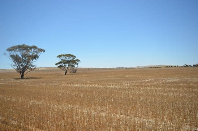 "Forrest" Dohse Road, SOUTH HUMMOCKS SA 5550, South Hummocks - Image 1