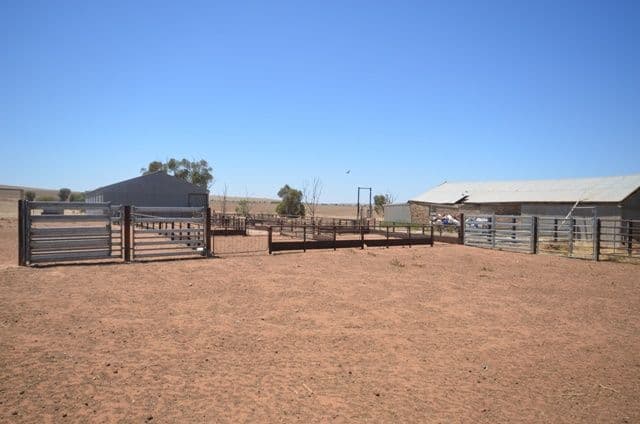 "Forrest" Dohse Road, SOUTH HUMMOCKS SA 5550, South Hummocks - Thumbnail 3
