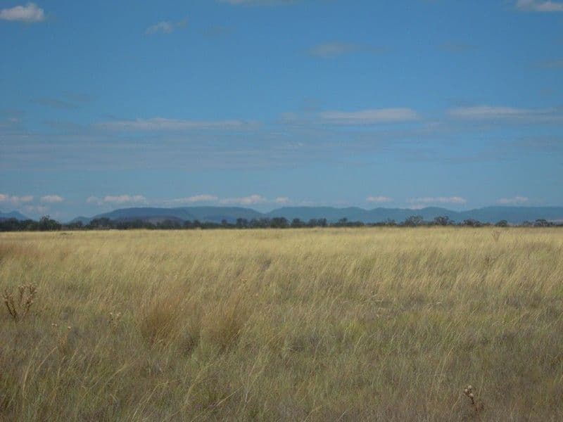 1889 Warwick-Allora Road, DEUCHAR QLD 4362, Deuchar - Thumbnail 7