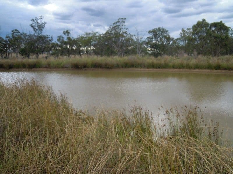 1889 Warwick-Allora Road, DEUCHAR QLD 4362, Deuchar - Thumbnail 8