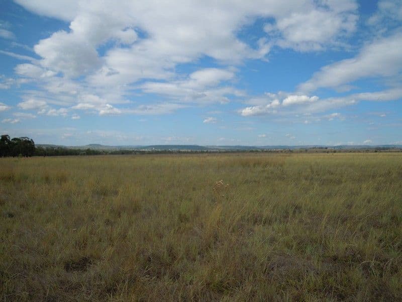 1889 Warwick-Allora Road, DEUCHAR QLD 4362, Deuchar - Thumbnail 3