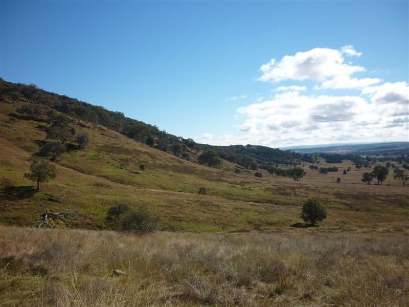 BALDRY NSW 2867, Baldry - Thumbnail 7