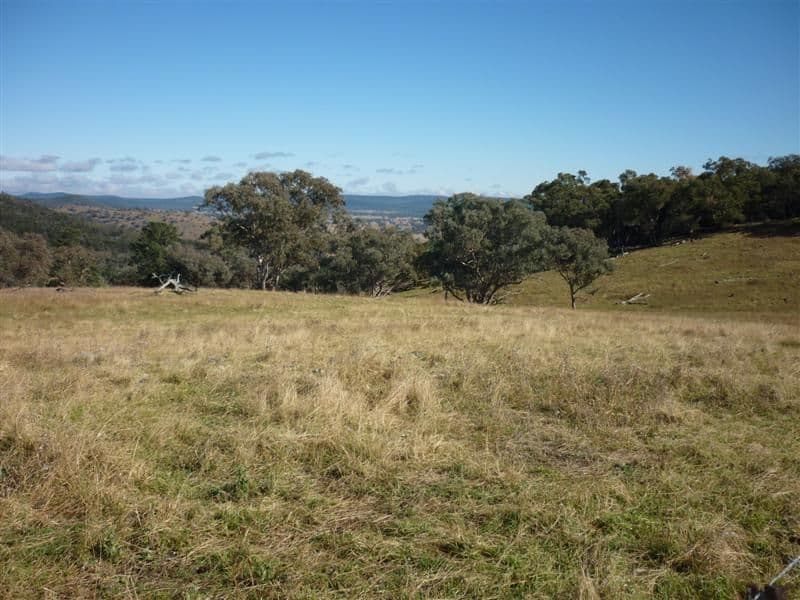 BALDRY NSW 2867, Baldry - Thumbnail 6