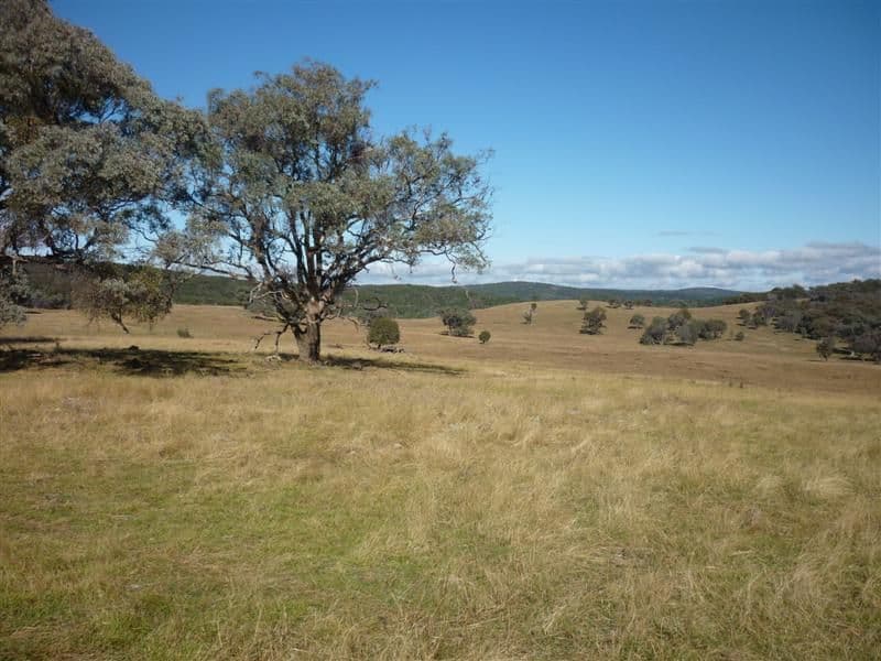 BALDRY NSW 2867, Baldry - Image 1