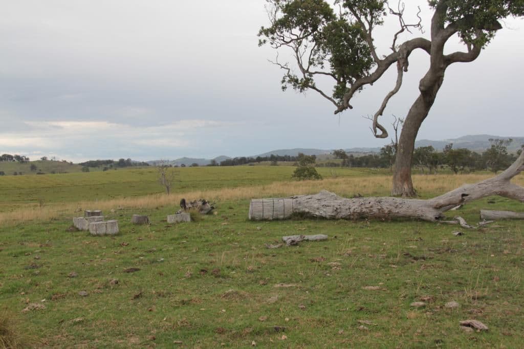 Lots 92 and 109 Timbarra Road, TENTERFIELD NSW 2372, Tenterfield - Thumbnail 5