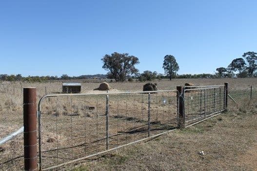 'Montana' Mount Russell Road, INVERELL NSW 2360, Inverell - Thumbnail 7