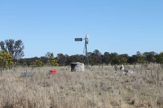 'Montana' Mount Russell Road, INVERELL NSW 2360, Inverell - Thumbnail 4