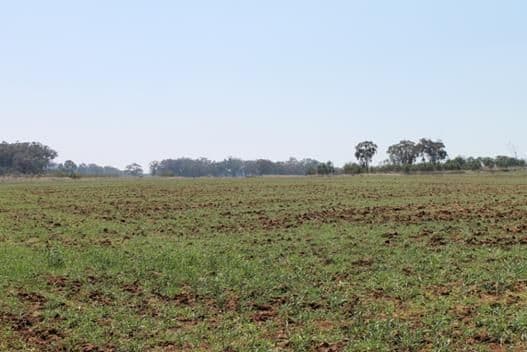 'Montana' Mount Russell Road, INVERELL NSW 2360, Inverell - Image 1