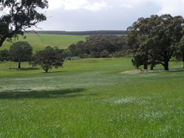 140 Shaws SS Road TAHARA via., Hamilton VIC 3300, Hamilton - Thumbnail 5