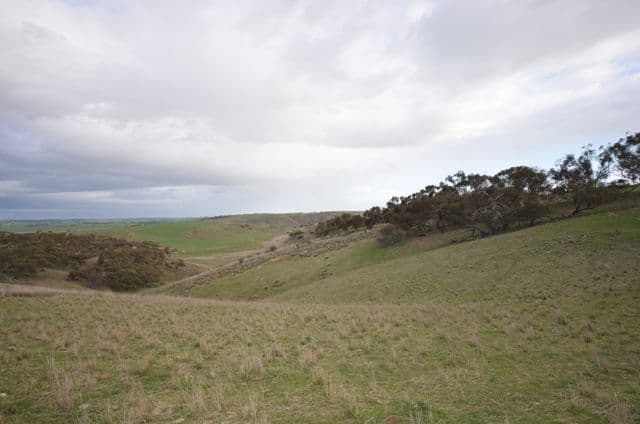 Various Secs Windy Loop Road, YACKA SA 5470, Yacka - Thumbnail 5