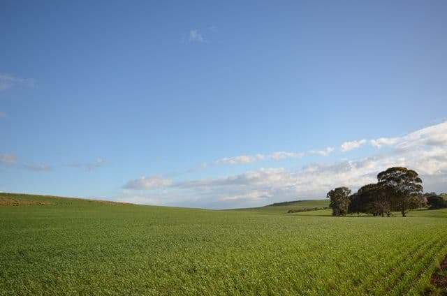 Various Secs Windy Loop Road, YACKA SA 5470, Yacka - Image 1