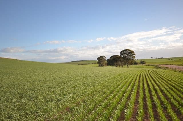 Various Secs Windy Loop Road, YACKA SA 5470, Yacka - Thumbnail 4