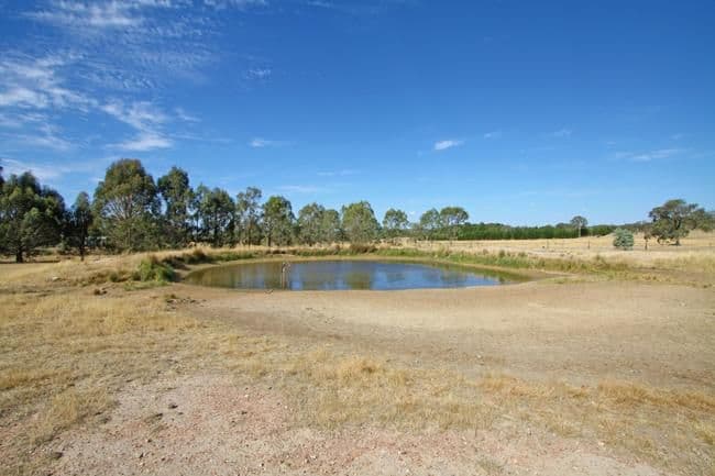 79 Harriott Road, BYWONG NSW 2621, Bywong - Thumbnail 8