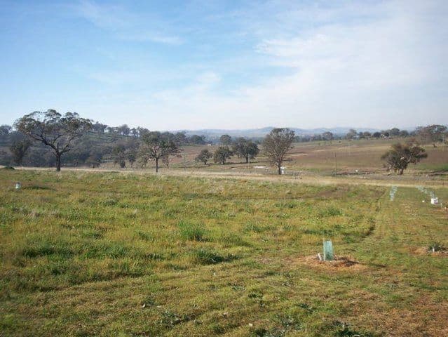 24 Hazelton Place, MURRINGO NSW 2586, Murringo - Thumbnail 5