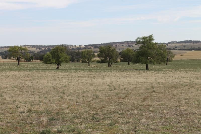YEOVAL NSW 2868, Yeoval - Thumbnail 2
