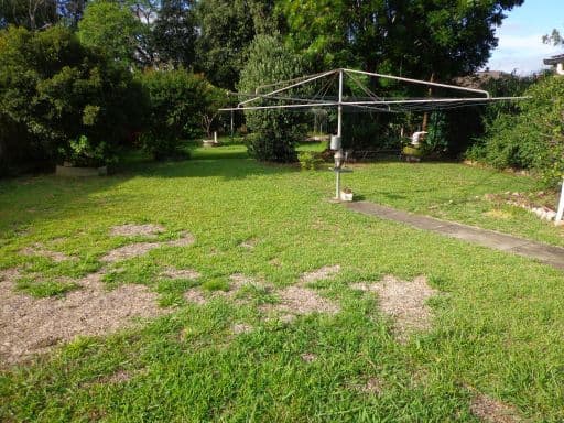 111 Harris Street, FAIRFIELD NSW 2165, Fairfield - Thumbnail 2