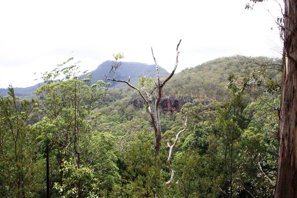 2175 Top Swanfels Road, SWANFELS QLD 4371, Swanfels - Thumbnail 3