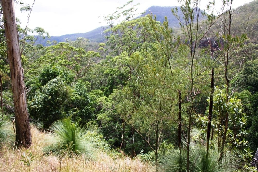 2175 Top Swanfels Road, SWANFELS QLD 4371, Swanfels - Thumbnail 6