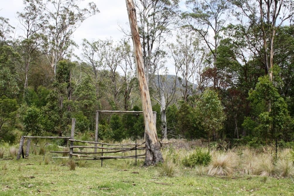 2175 Top Swanfels Road, SWANFELS QLD 4371, Swanfels - Thumbnail 8
