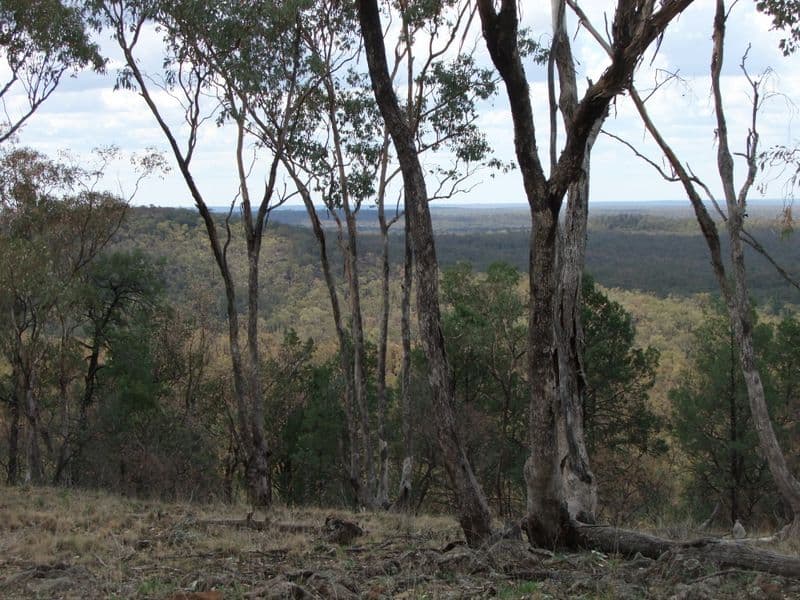 Bald Hill Newell Highway, COONABARABRAN NSW 2357, Coonabarabran - Thumbnail 5