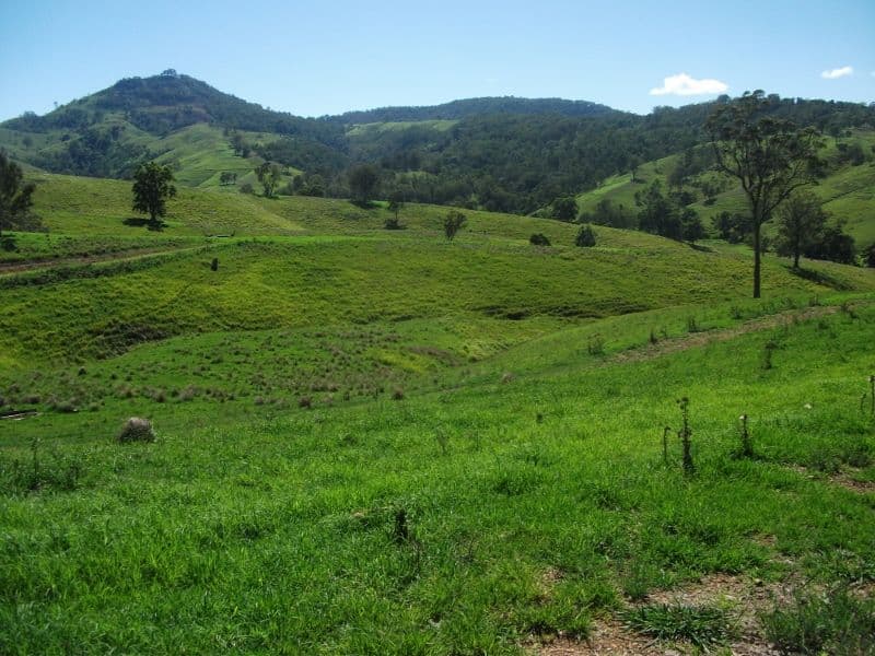 2128 Paterson River Road, GRESFORD NSW 2311, East Gresford - Thumbnail 3