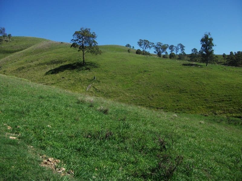 2128 Paterson River Road, GRESFORD NSW 2311, East Gresford - Thumbnail 4