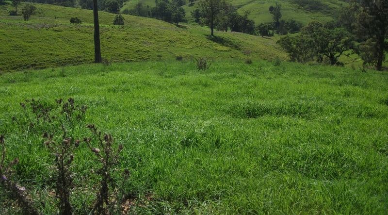 2128 Paterson River Road, GRESFORD NSW 2311, East Gresford - Thumbnail 5
