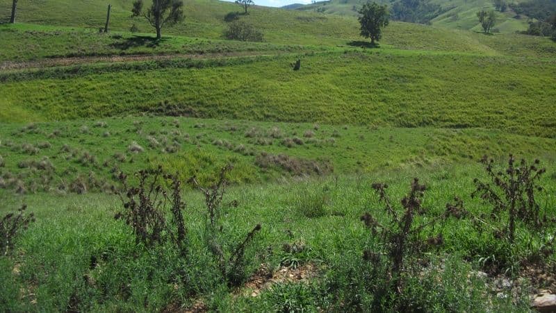 2128 Paterson River Road, GRESFORD NSW 2311, East Gresford - Thumbnail 6