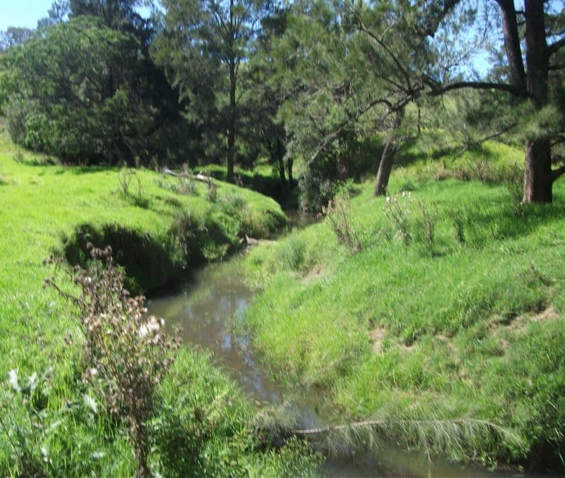2128 Paterson River Road, GRESFORD NSW 2311, East Gresford - Thumbnail 8