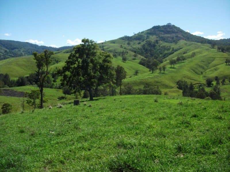 2128 Paterson River Road, GRESFORD NSW 2311, East Gresford - Image 1