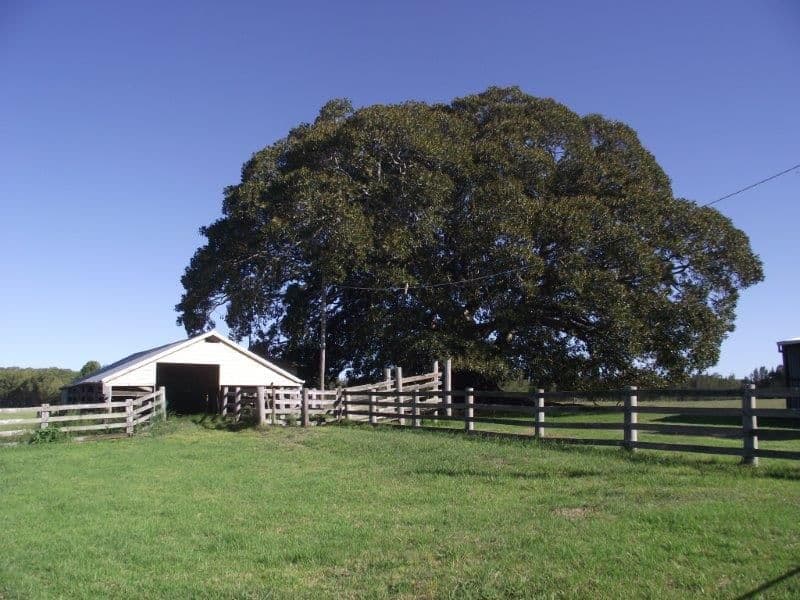 37 Barton Street, CROKI NSW 2430, Croki - Thumbnail 7