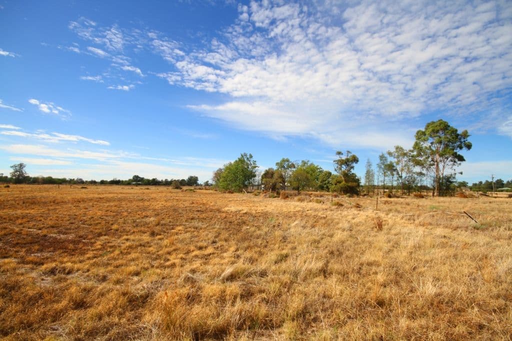 12 Regent Street, NARRABRI NSW 2390, Narrabri - Thumbnail 8