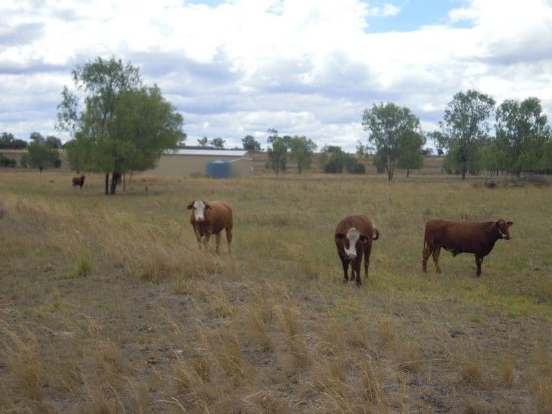 0 Sullivan Road, PITTSWORTH QLD 4356, Pittsworth - Thumbnail 4
