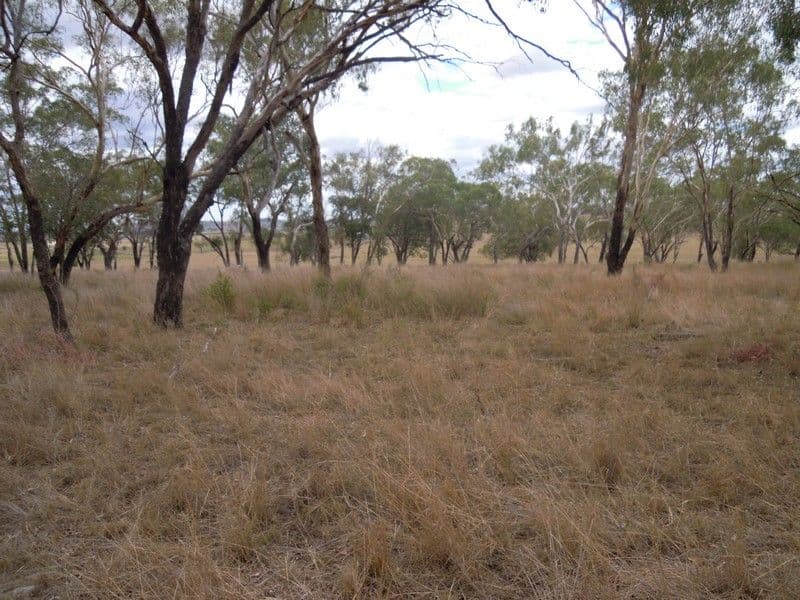 0 Sullivan Road, PITTSWORTH QLD 4356, Pittsworth - Thumbnail 5