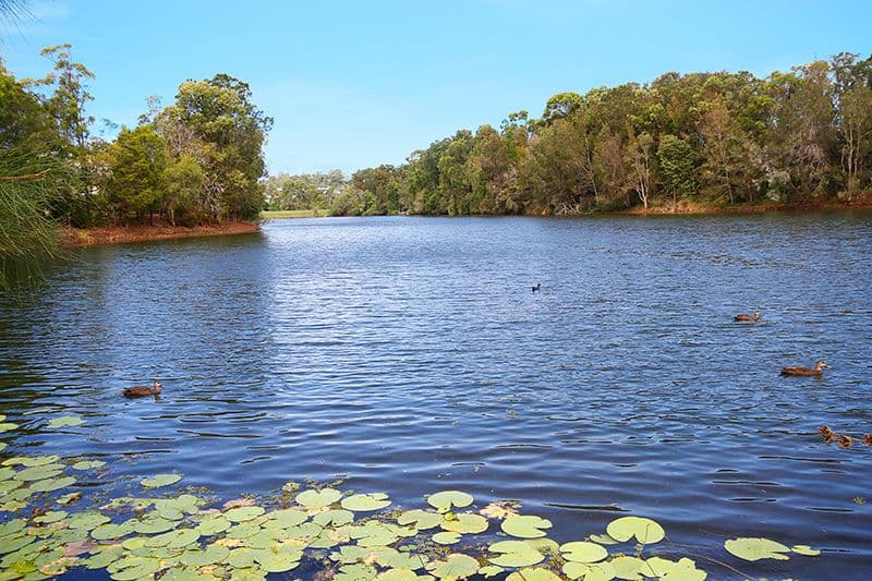 34 Dalton Drive, MAROOCHYDORE QLD 4558, Maroochydore - Thumbnail 2