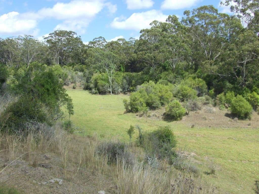 1179 Djuan Road, HADEN QLD 4353, Haden - Thumbnail 4