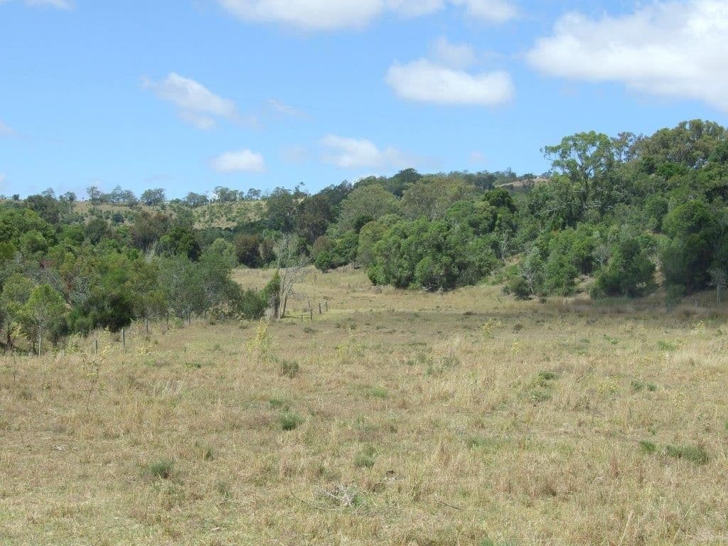 1179 Djuan Road, HADEN QLD 4353, Haden - Thumbnail 5
